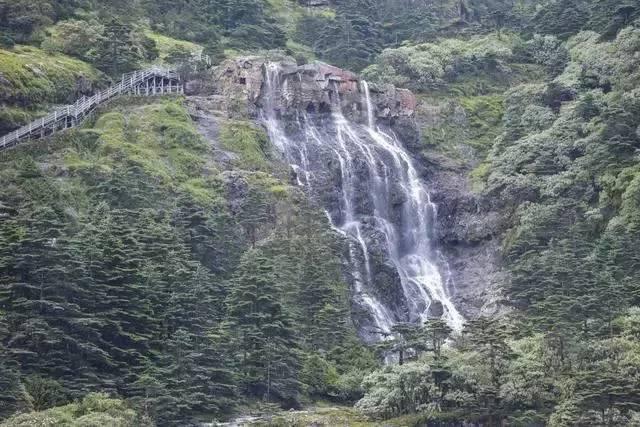 绿意盎然